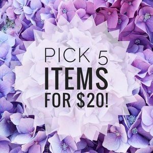 Pick 5 items, $5 or less & receive offer for $20!